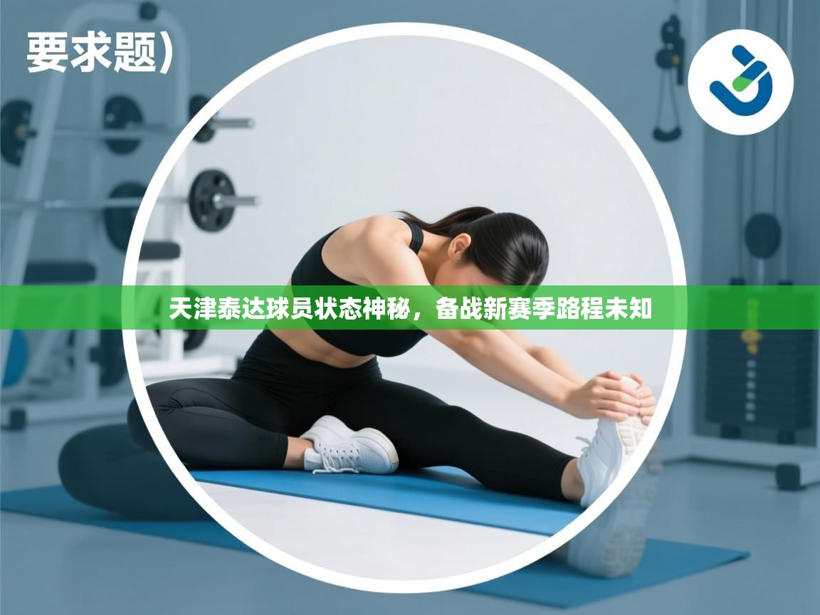 天津泰达球员状态神秘,备战新赛季路程未知 第1张