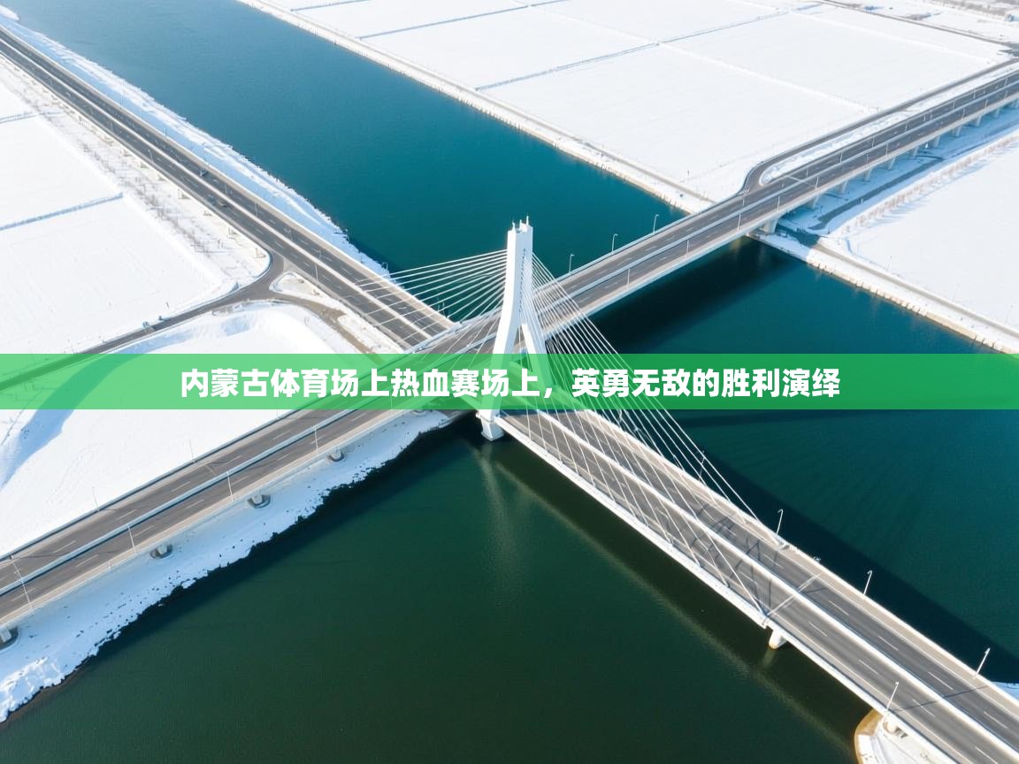 内蒙古体育场上热血赛场上，英勇无敌的胜利演绎
