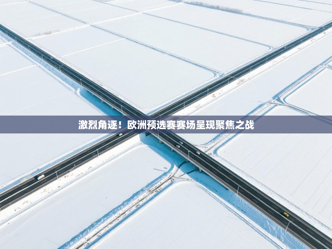 激烈角逐！欧洲预选赛赛场呈现聚焦之战  第2张