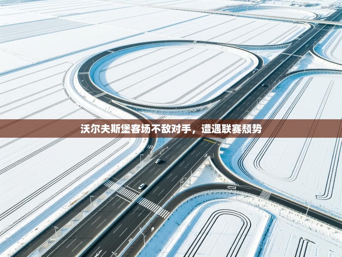 沃尔夫斯堡客场不敌对手，遭遇联赛颓势  第2张