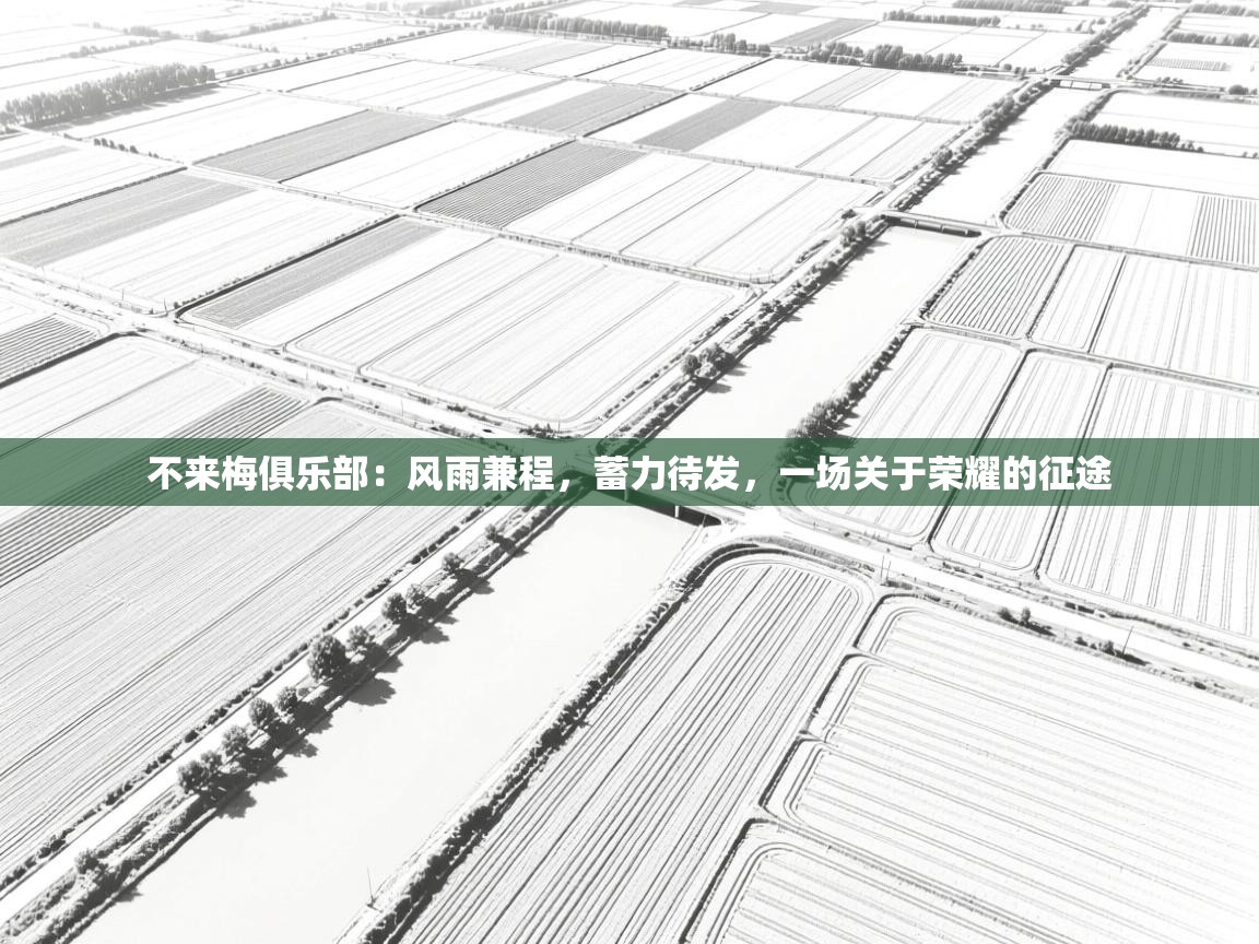 不来梅俱乐部：风雨兼程，蓄力待发，一场关于荣耀的征途  第1张